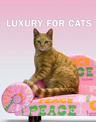 "Luxury For Cats":  учитесь ухаживать за кошками!