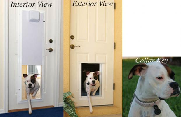 Электронная дверь для собак