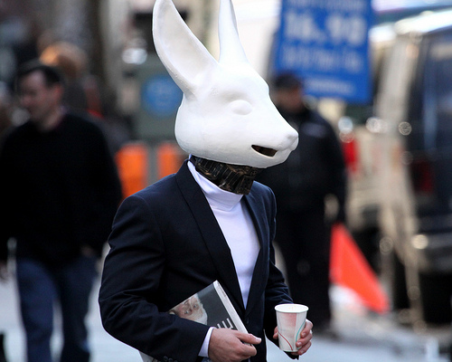 Улицы Нью-Йорка заполонили белые кролики!