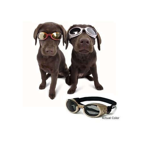 Солнечные очки для собак
