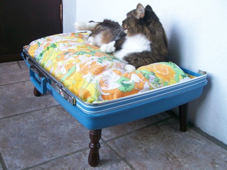 Винтажные лежанки для кошек