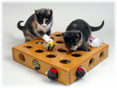 Игрушка для умных кошек