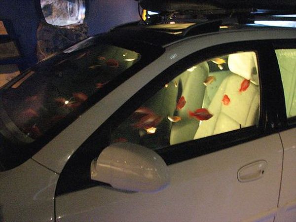 Автомобиль - аквариум