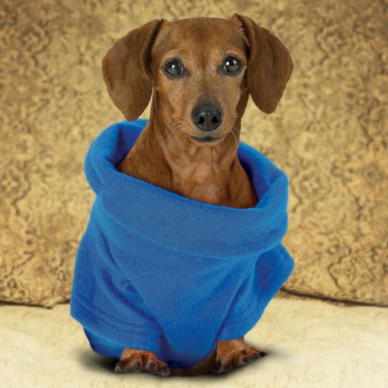 Свитер-одеяло для маленьких и больших собак