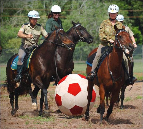 Футбол для лошади