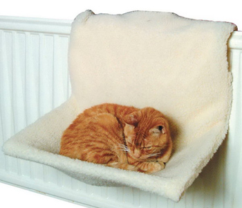 Оригинальная кровать для кошек