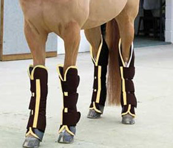 Обувь для лошадей