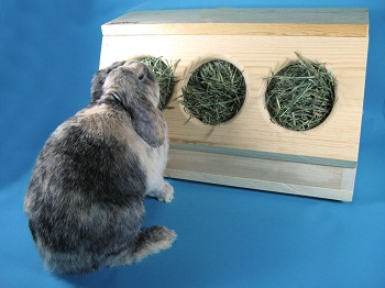 Сено для кролика