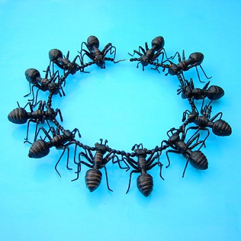 Ожерелье из муравьев