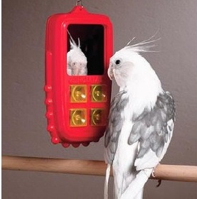 Телефон для попугая