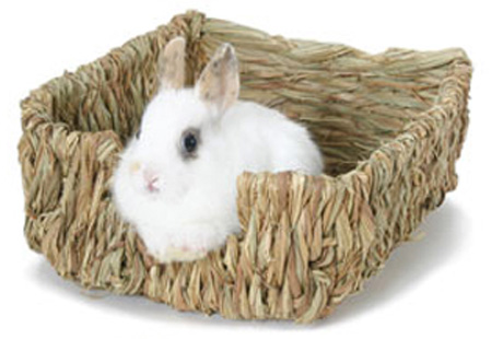 Жевательная мебель для кроликов