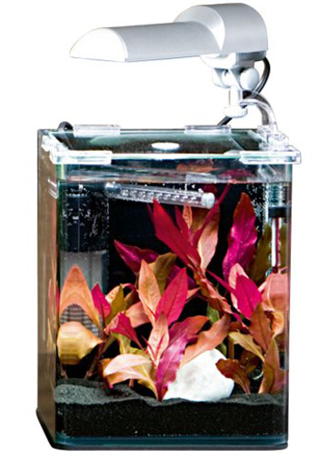 Нано аквариум для креветок, крабов и улиток