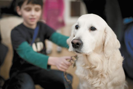 "Собачья" терапия возвращает детям улыбки