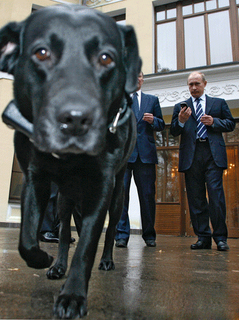 Джордж Буш встретился с собакой Путина