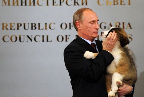 Объявлен конкурс на имя новой собаки Путина
